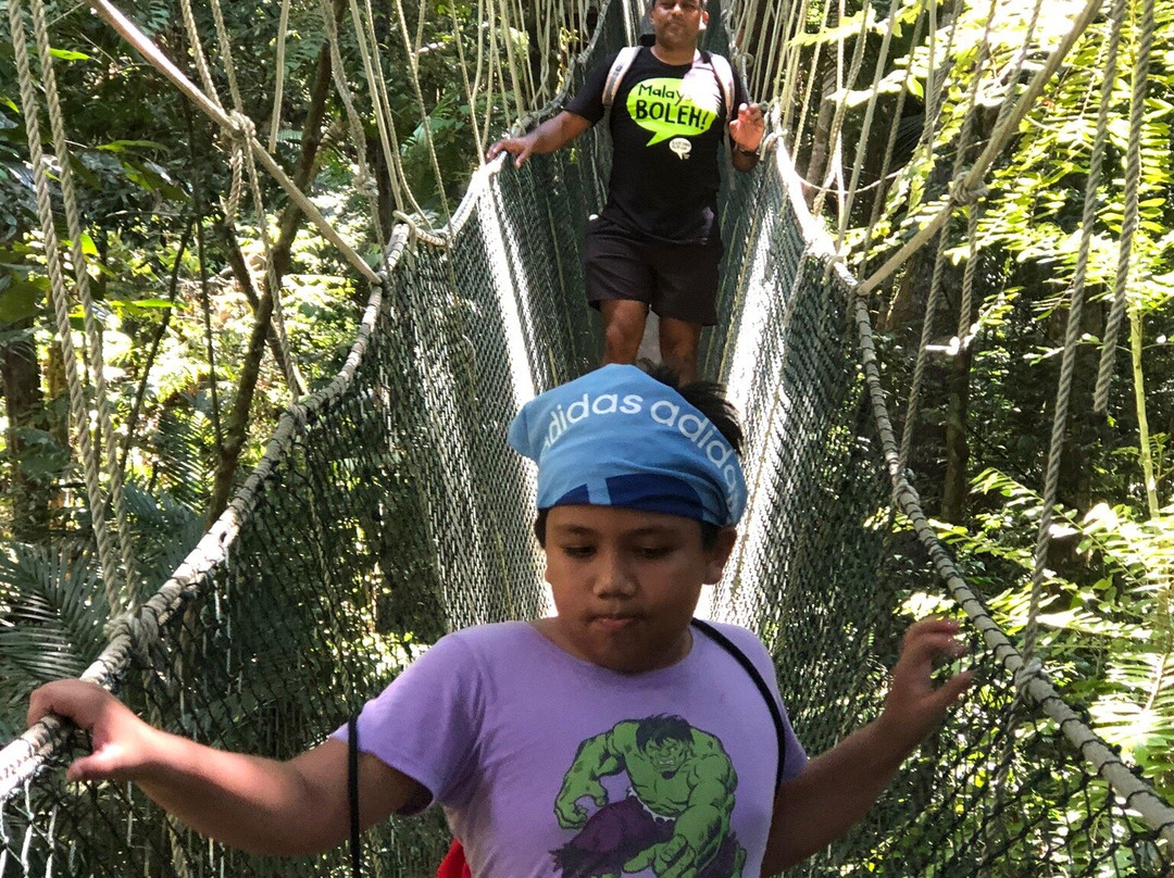 Taman Negara Canopy Walkway景点图片