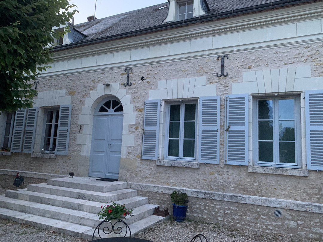 Bella Simonetta主图