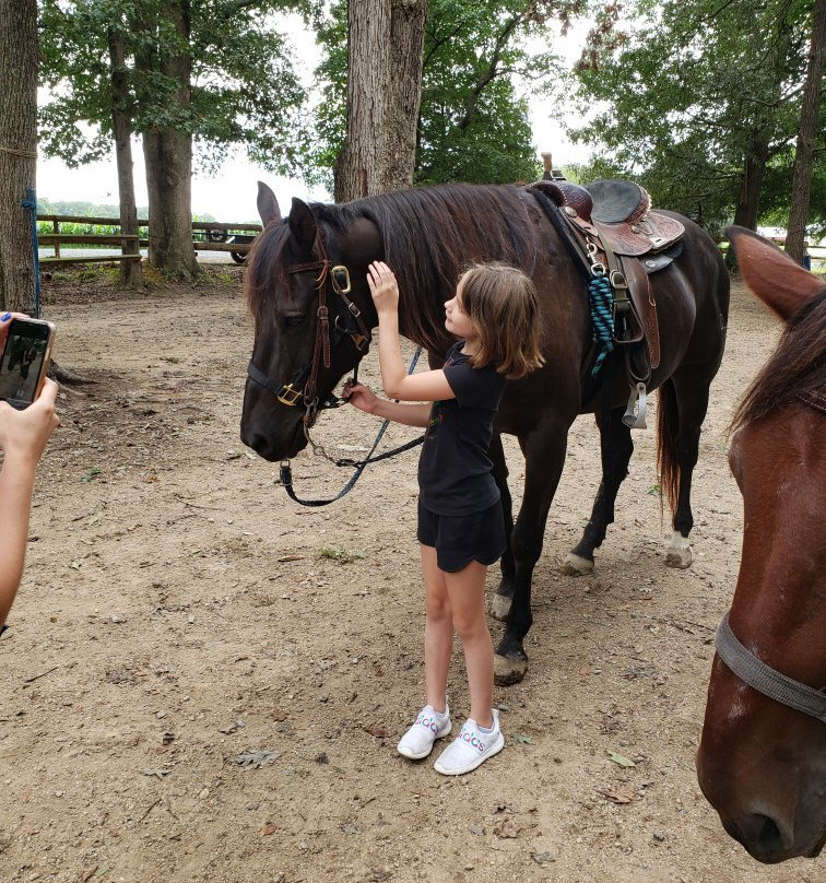 Country Time Equestrian Events-Indian Trail必去景点