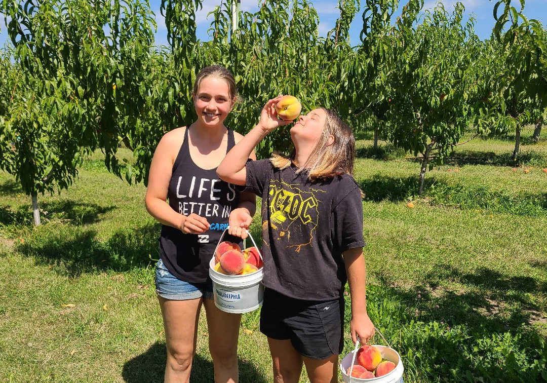 Hillside Orchards U-Pick and Farm-Oliver必去景点