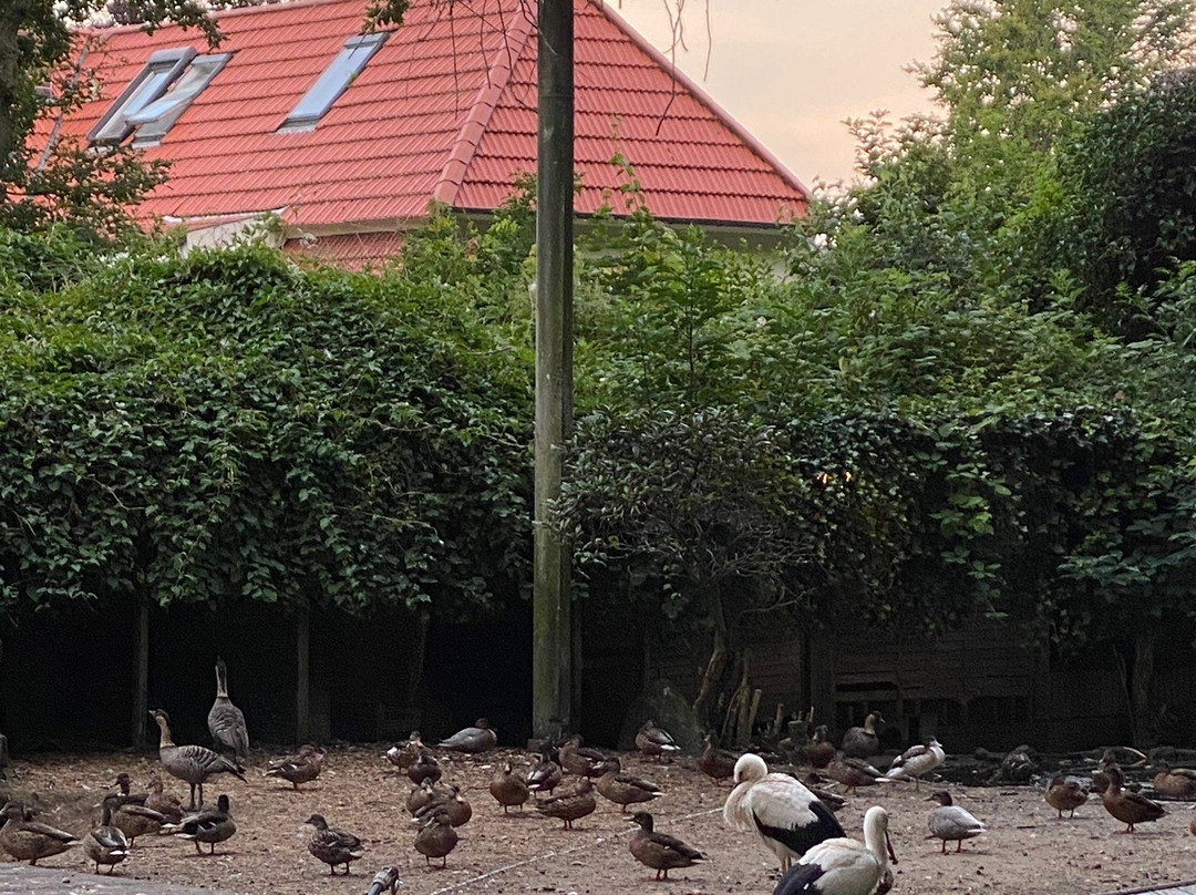 Pension Villa Friede主图