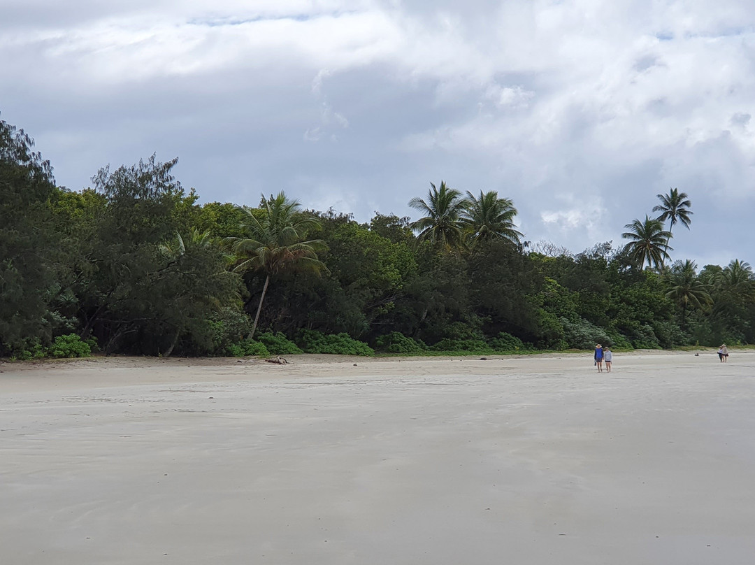 Myall Beach-Cape Tribulation必去景点