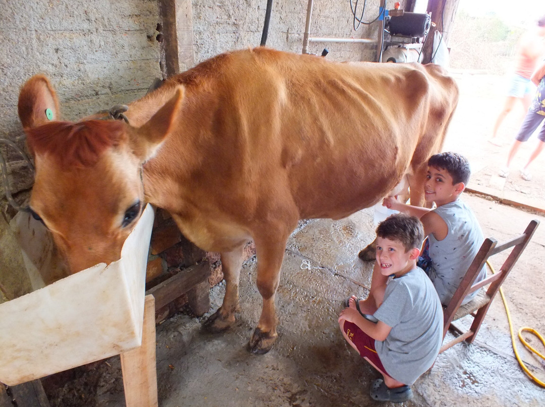 Sitío Da Vó Bete-Praia Grande必去景点