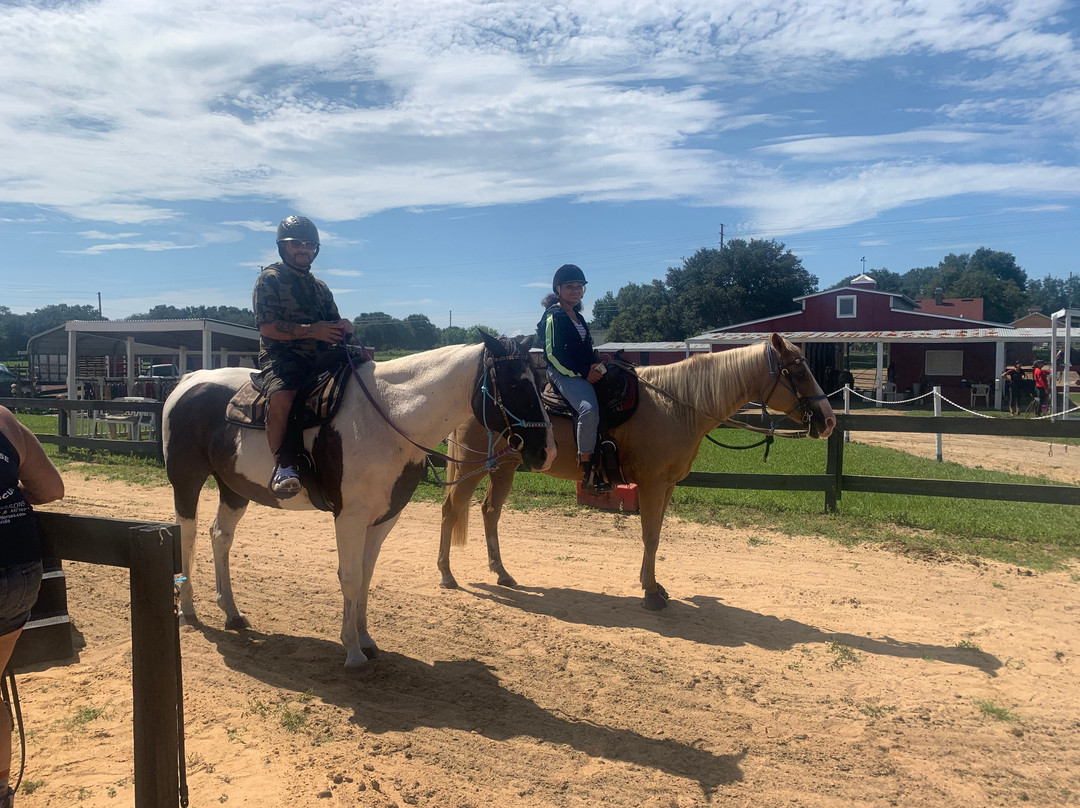 DreamCatcher Horse Ranch and Rescue景点图片