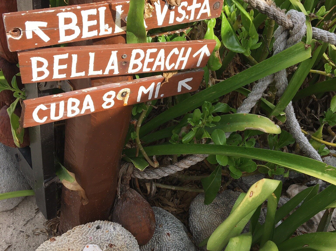 Villa La Bella Oceanfront Swing Bar景点图片