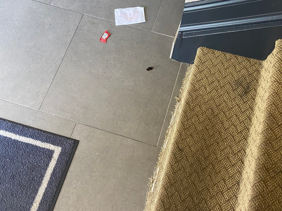 Country Inn & Suites by Radisson, Wilmington, NC主图