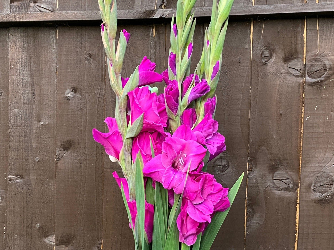 Get Lost Sailing-普尔必去景点