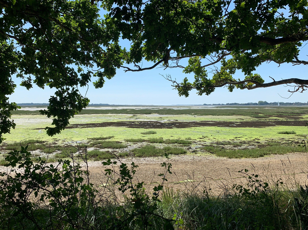 Langstone Harbour景点图片