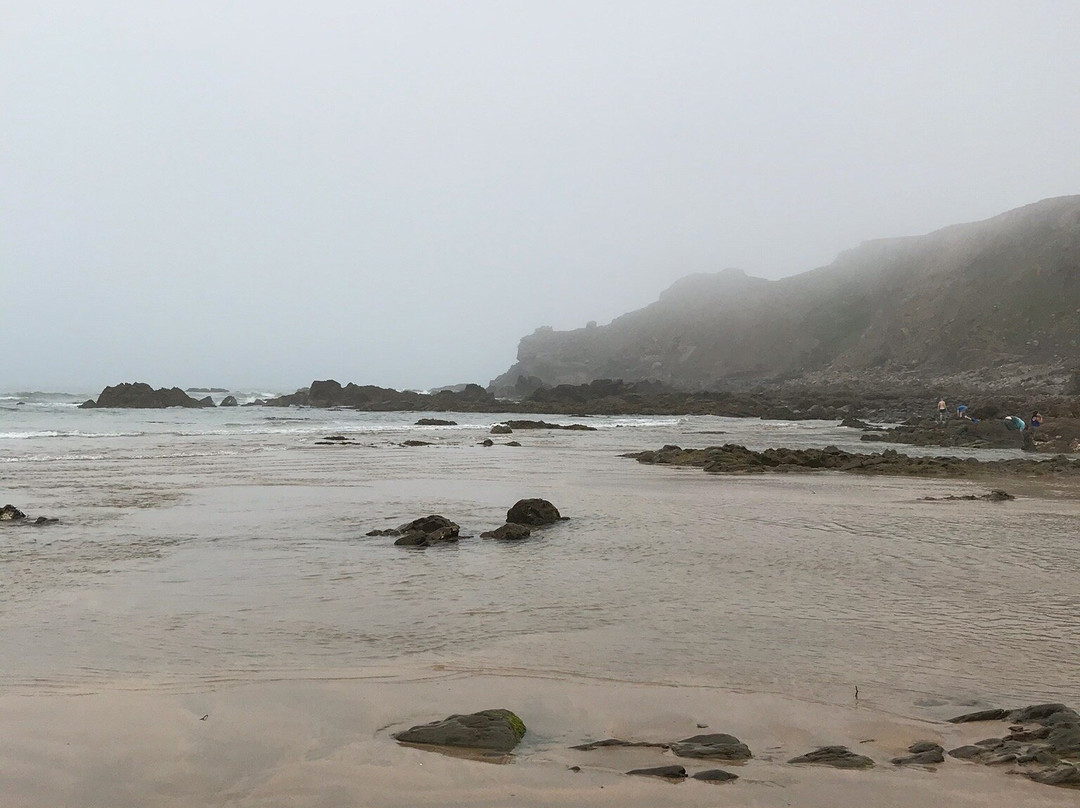 Northcott Mouth Beach-Poughill必去景点