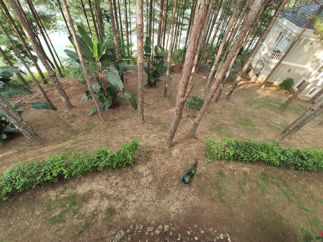 大勒伊顿斯湖渡假村主图