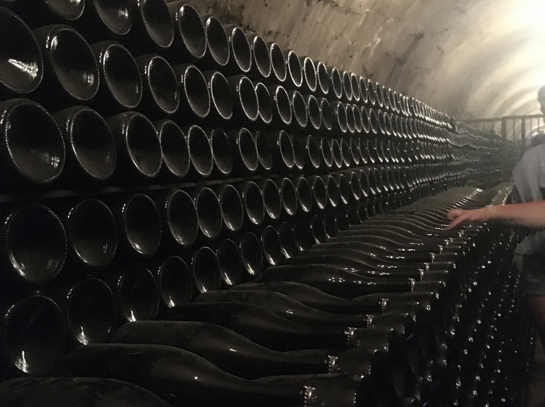 Champagne Factory-Abrau-Durso必去景点