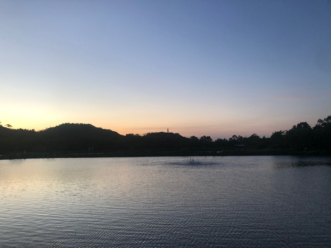 珠海淇澳红树林-珠海市必去景点