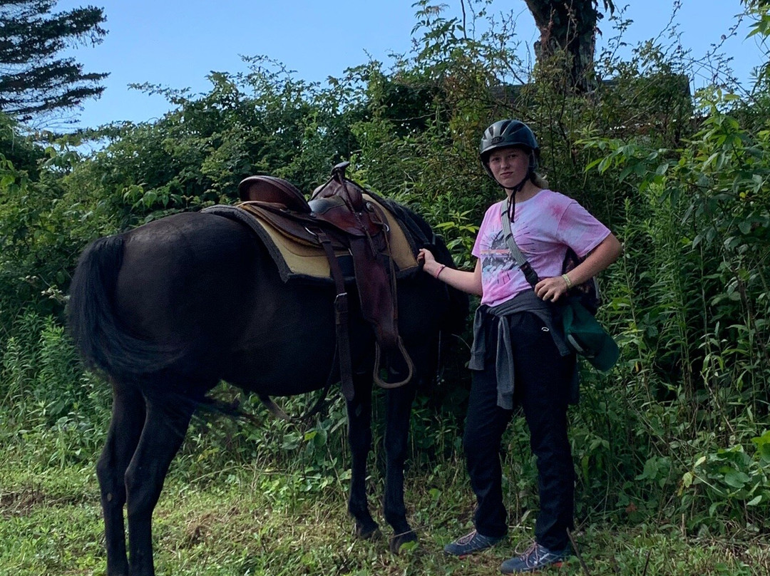 Elk Mountain Riding Company-Newland必去景点