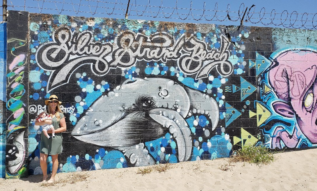 Silver Strand Beach-奥克斯纳德必去景点