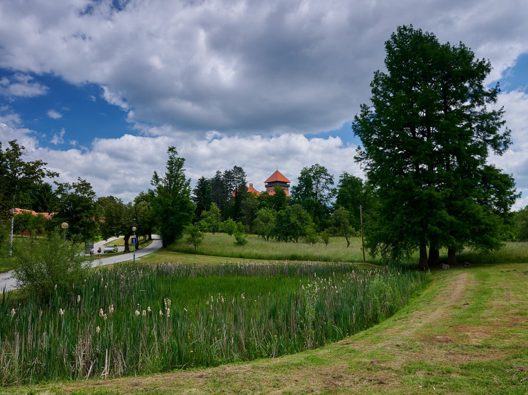 Dubovac Castle景点图片