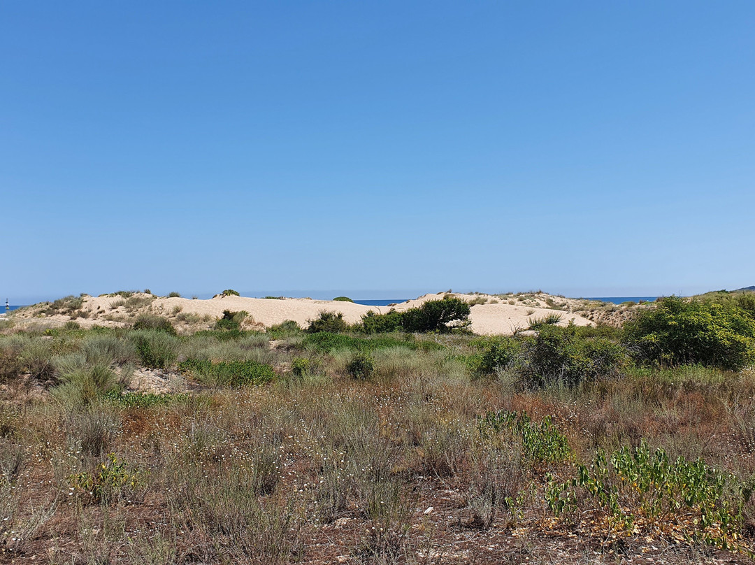 Arkutino Beach-普里莫斯科必去景点