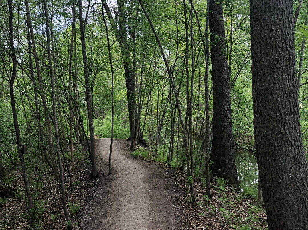 Norrlin Park-Asikkala必去景点