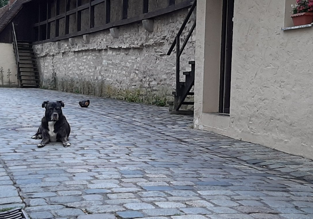 Seeweihermauer-拜恩州魏森堡必去景点