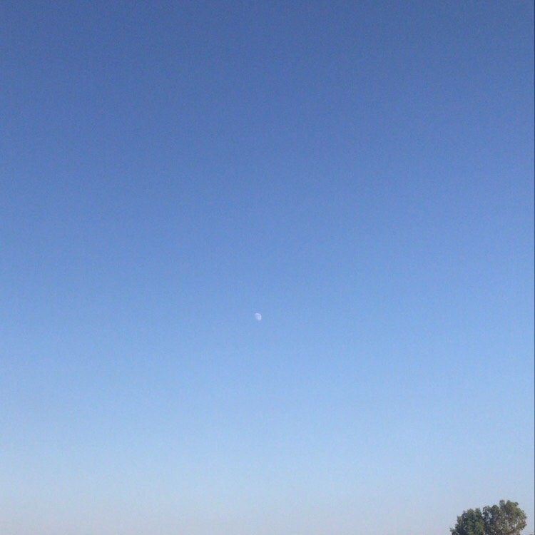 Yapraklı Koy Plajı景点图片