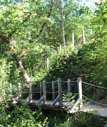 Confluence de la Cure et du Caillot
