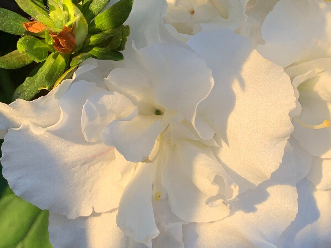 Arundel Hills Country Club-Arundel必去景点