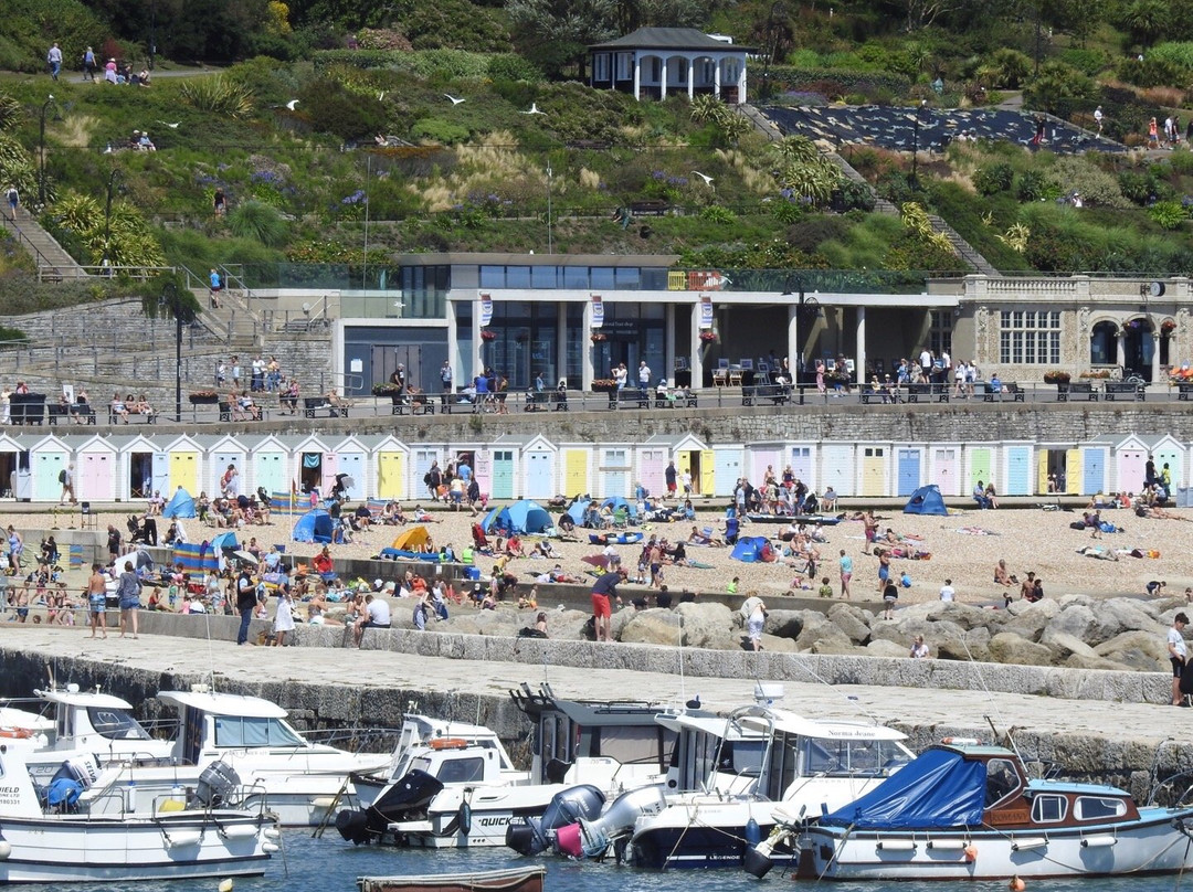Lyme Regis Undercliff景点图片