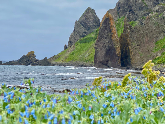 Jizoiwa-礼文町必去景点