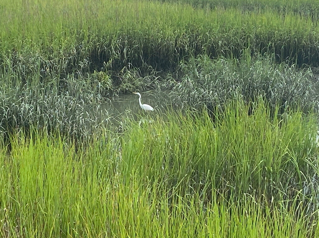 Shipyard Golf Club-希尔顿头岛必去景点