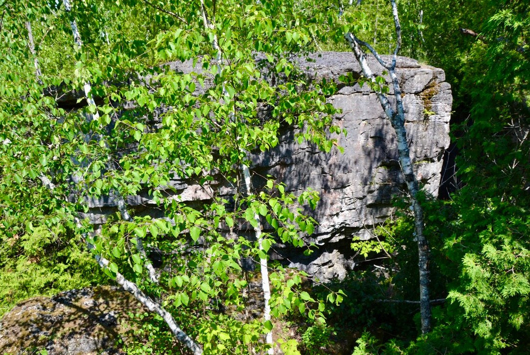 Nottawasaga Lookout Provincial Nature Reserve景点图片