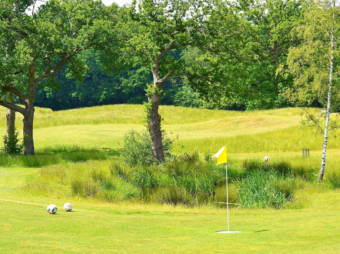 Gatwick Footgolf Centre Ltd.景点图片