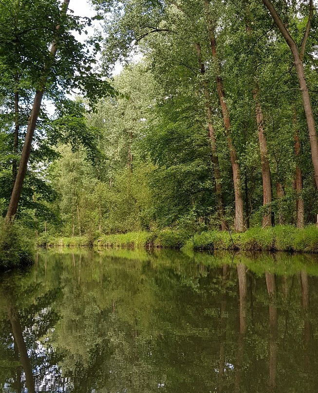 Hafen Waldschloesschen景点图片