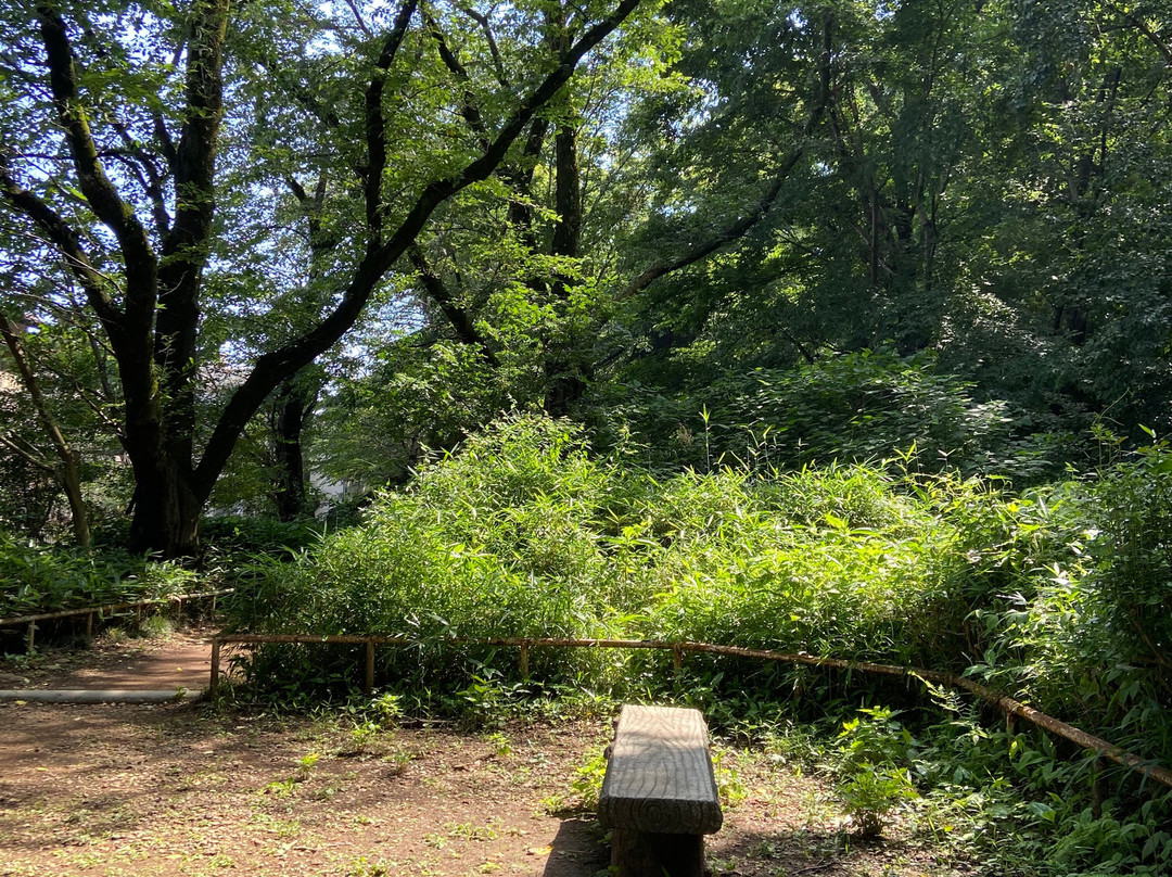 Kurokawaseiryu Park-日野市必去景点