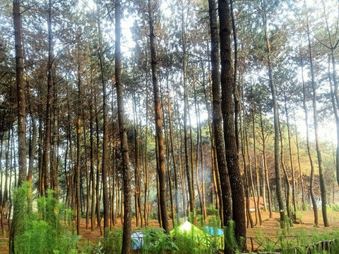 Bukit Senyum-万隆必去景点