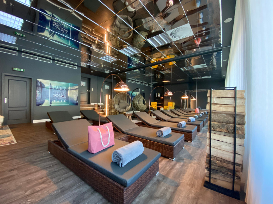 Harz Hotel & Spa Seela主图