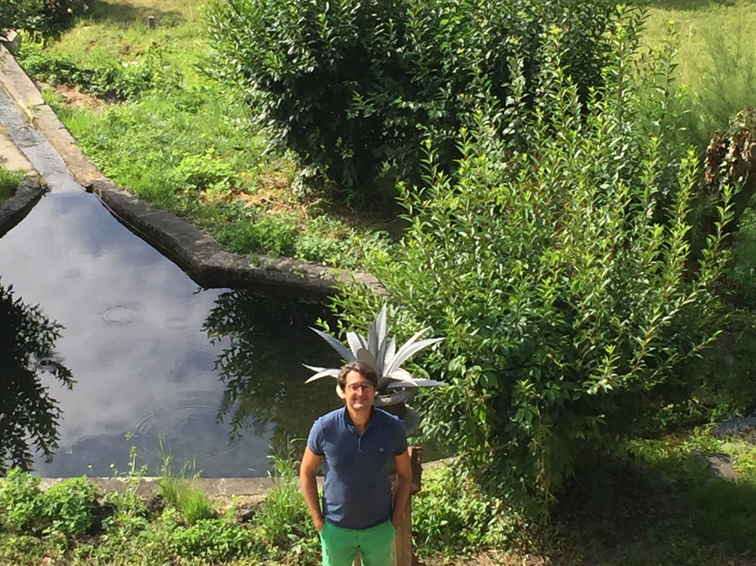 Manoir d'Aubeterre主图