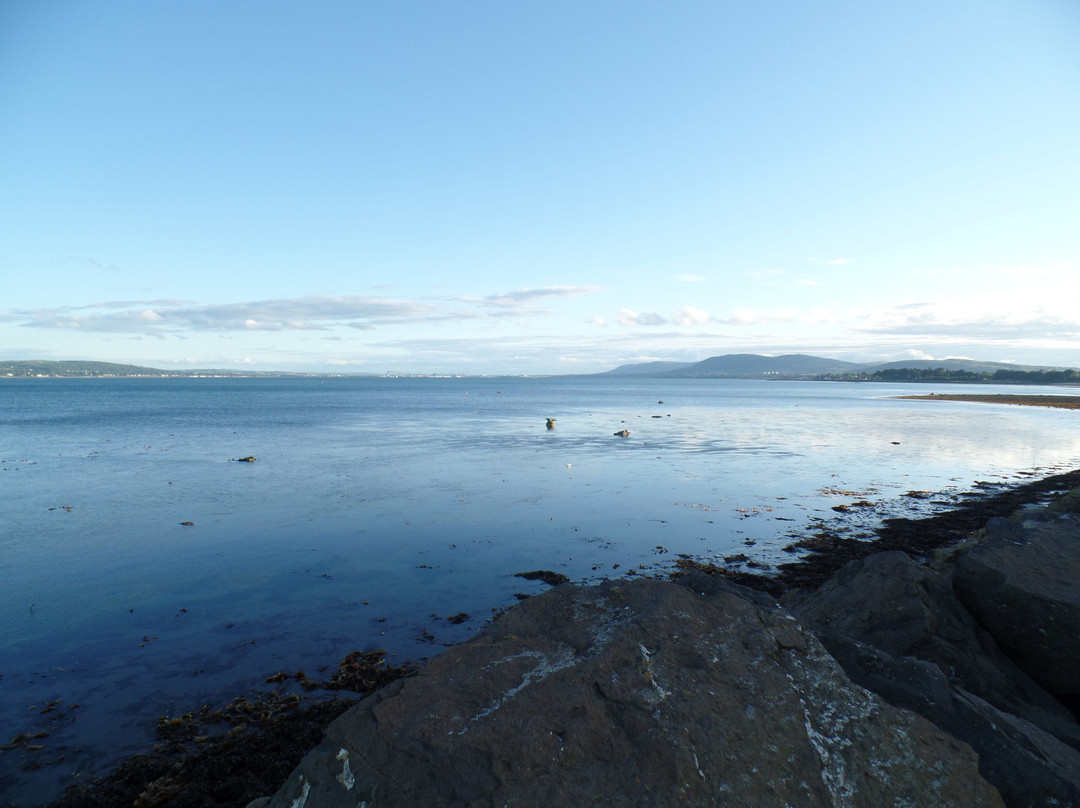 Carrickfergus Marina景点图片
