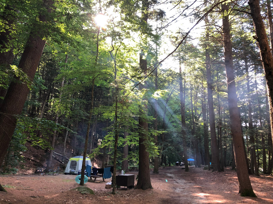 Mohawk Trail State Forest-Charlemont必去景点