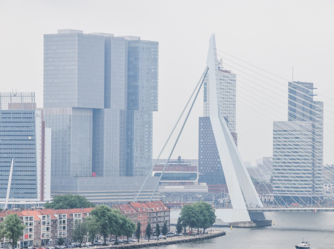 De Rotterdam Tours-鹿特丹必去景点