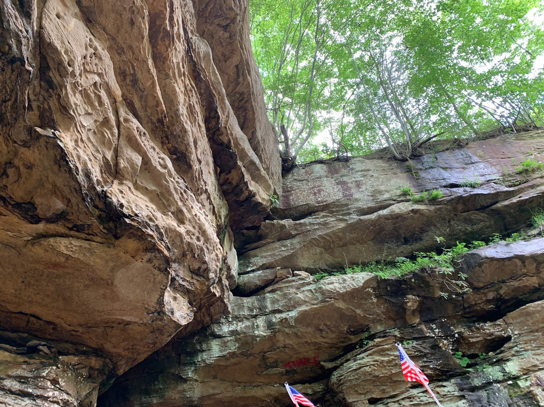 Wildcat Adventures Off Road Park-East Bernstadt必去景点