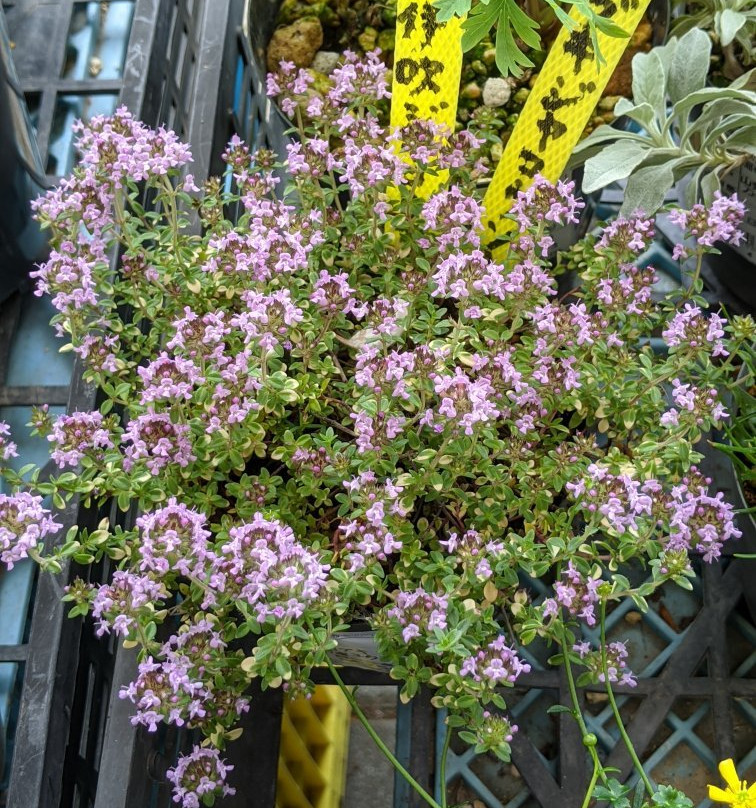 Shiwa Furusato Center-紫波町必去景点