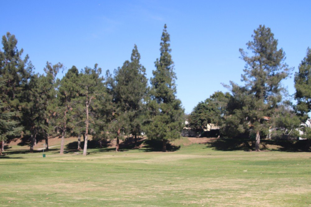 Brentwood Park-科罗纳必去景点