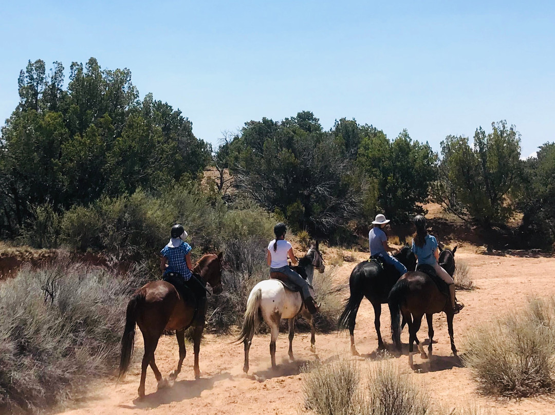 Enchantment Equitreks-Edgewood必去景点