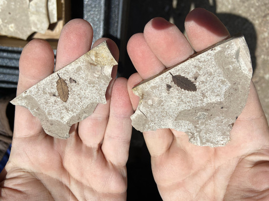 Florissant Fossil Quarry-Florissant必去景点