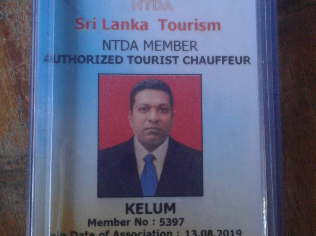 Ella Excursions And Tours-埃勒必去景点