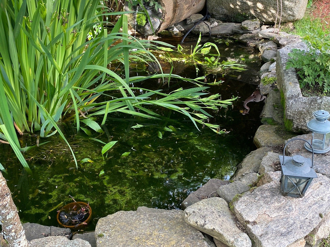 Domaine De Sault主图