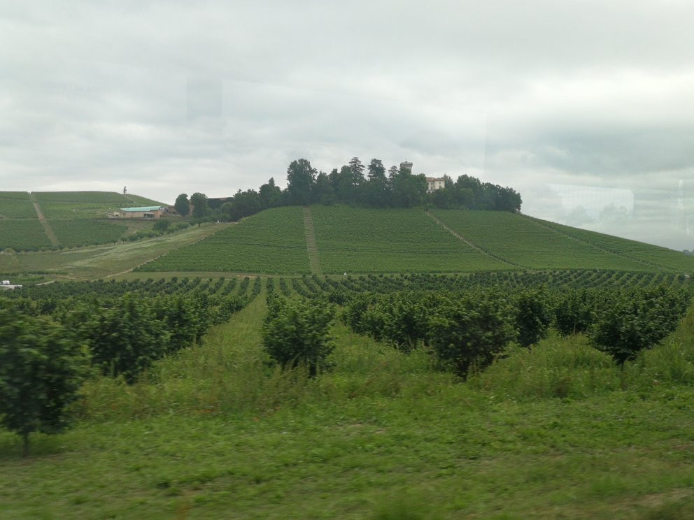 Colline delle Langhe Patrimonio Unesco-Province of Asti必去景点