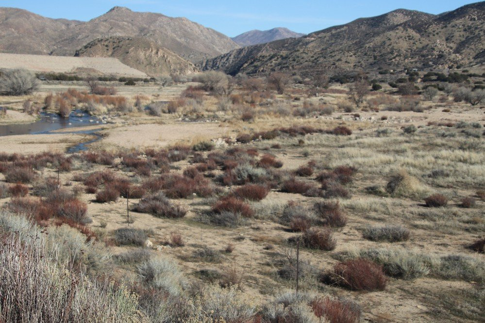 Mojave River Forks Regional Park-希斯皮里亚必去景点