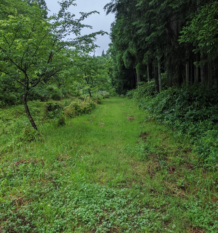 Jyoshitani Park (Ajisai Park)景点图片