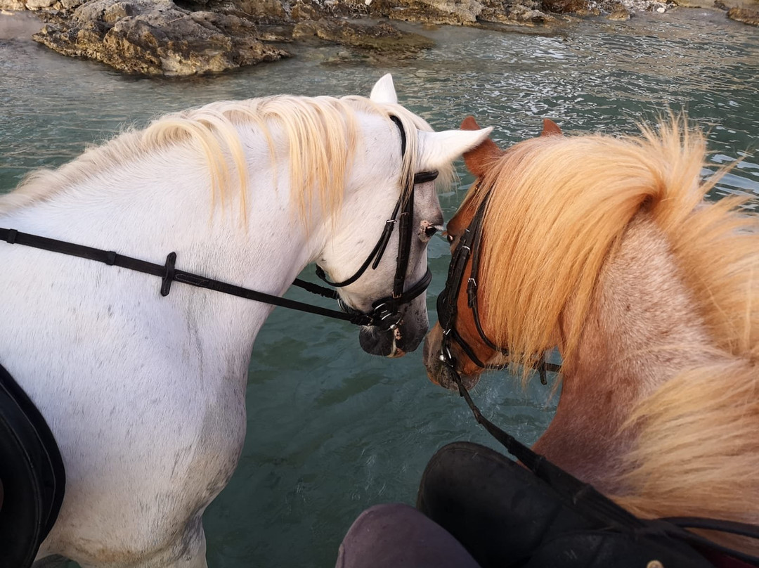 Horse Riding Alonaki-Valanidorrachi必去景点