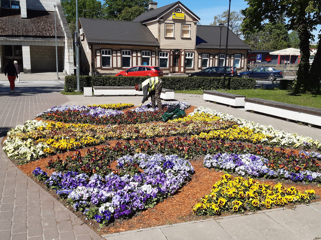 Paide Town Hall景点图片